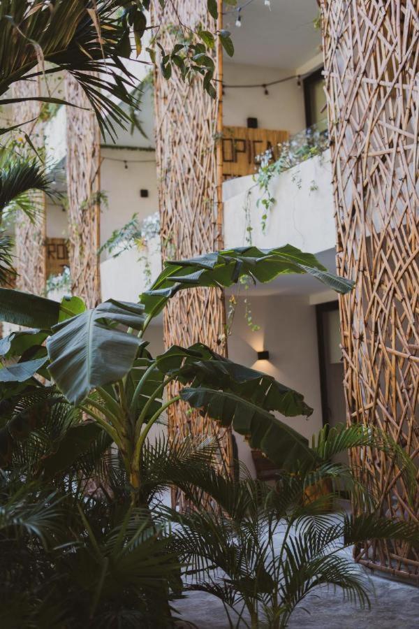 Jade Tulum Apartamento Exterior foto